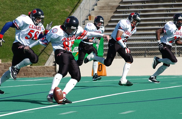 img3.webp